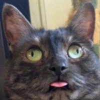 Чупряев Юра