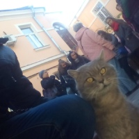 Афонин Данил